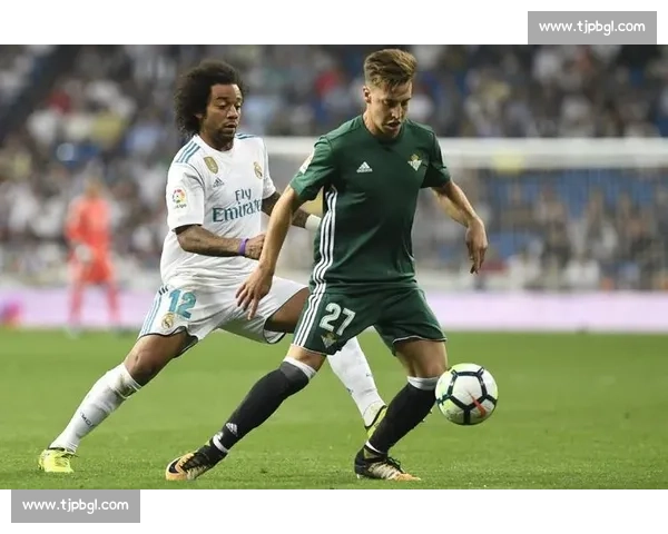 海尔蒙特对阵精英焦点之战赛前走势与胜负前瞻解析全面数据深度分析